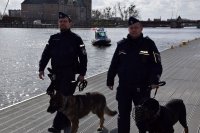 zdjęcie kolorowe na którym widać dwóch policjantów w mundurach z psami słożbowymi którzy patrolują teren przywodny