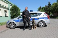 zdjęcie  na którym widać policjanta z psem służbowym na tle radiowozu