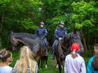 zdjęcie policjanta i policjantki na koniach służbowych