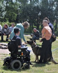 Chłopiec na wózku elektrycznym i policyjny pies służbowy