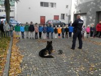 Przedszkolaki podziwiające prezentację umiejętności psa policyjnego
