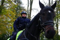 policjant na koniu