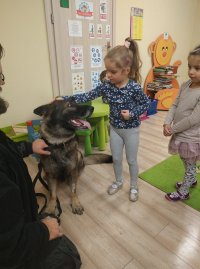 dzieci w przedszkolu podczas wizyty przewodnika z psem
