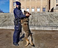 policjanci z psem