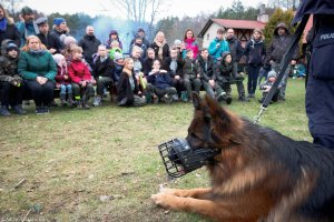 przewodnik z psem policyjnym