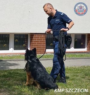 Policyjny pies Dino z wizytą u podopiecznych Placówki Wsparcia Dziennego TPD w Szczecinie – to początek cyklu spotkań w TPD na terenie naszego miasta