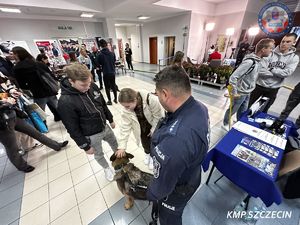 Za nami Giełda Pracy 2023 zorganizowana przez Akademickie Biuro Karier Uniwersytetu Szczecińskiego