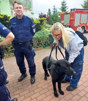 Festyn OLIMPIADA w Domu Pomocy Społecznej „ Dom Kombatanta” z udziałem szczecińskich policjantek