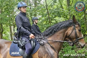 Policyjne działania „Kwartał” na terenie Szczecina