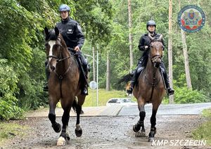 Policyjne działania „Kwartał” na terenie Szczecina