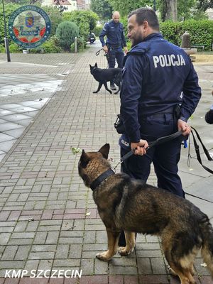 Szczecińscy policjanci otrzymają nowego psa służbowego. Zakup jest wspierany przez Zachodniopomorski Uniwersytet Technologiczny