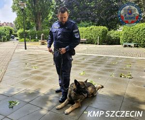 Szczecińscy policjanci otrzymają nowego psa służbowego. Zakup jest wspierany przez Zachodniopomorski Uniwersytet Technologiczny