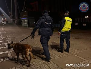 Weekendowe działania „Porządek” w Szczecinie – zatrzymane 3 osoby poszukiwane