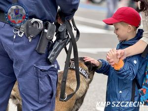 Festyn &quot;Bezpieczna Droga do Lata&quot; na Jasnych Błoniach oficjalnie rozpoczął wakacje w Szczecinie