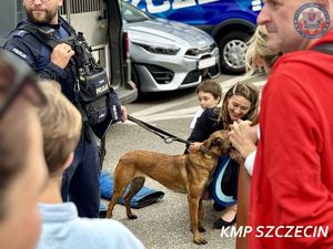 Festyn &quot;Bezpieczna Droga do Lata&quot; na Jasnych Błoniach oficjalnie rozpoczął wakacje w Szczecinie