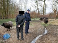 Wspólne działania na rzecz osób bezdomnych