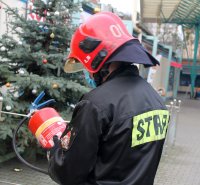 Fajerwerki pod kontrolą szczecińskich mundurowych
